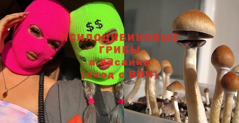 Галлюциногенные грибы MAGIC MUSHROOMS  Ялуторовск 